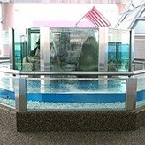 森の水槽南館ふれあい広場